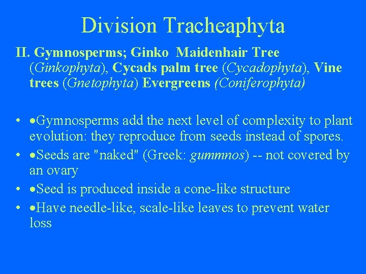 Division Tracheaphyta II. Gymnosperms; Ginko Maidenhair Tree (Ginkophyta), Cycads palm tree (Cycadophyta), Vine trees