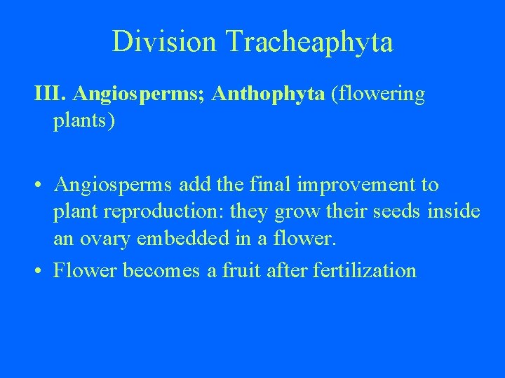 Division Tracheaphyta III. Angiosperms; Anthophyta (flowering plants) • Angiosperms add the final improvement to