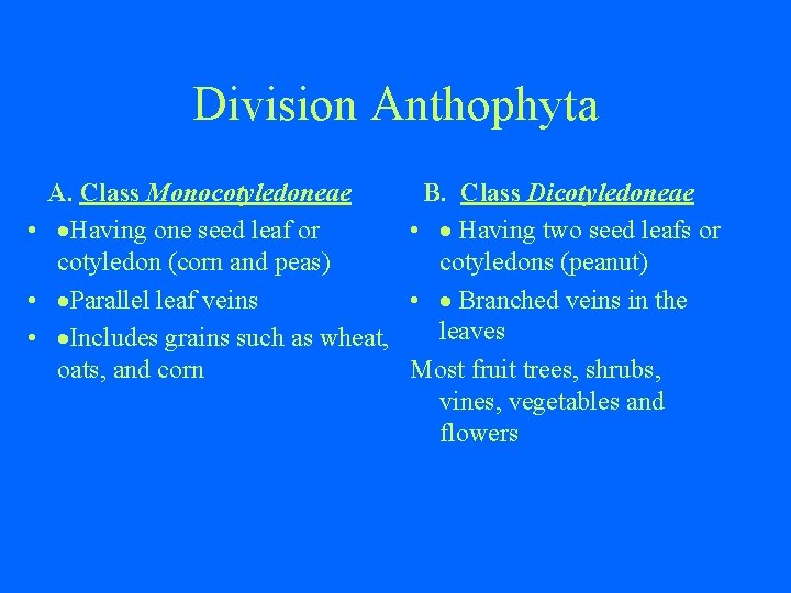 Division Anthophyta A. Class Monocotyledoneae • ·Having one seed leaf or cotyledon (corn and