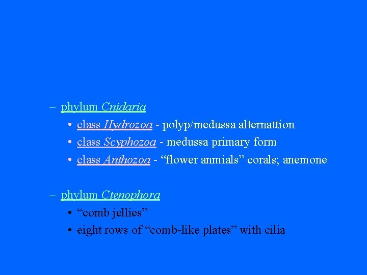 – phylum Cnidaria • class Hydrozoa - polyp/medussa alternattion • class Scyphozoa - medussa