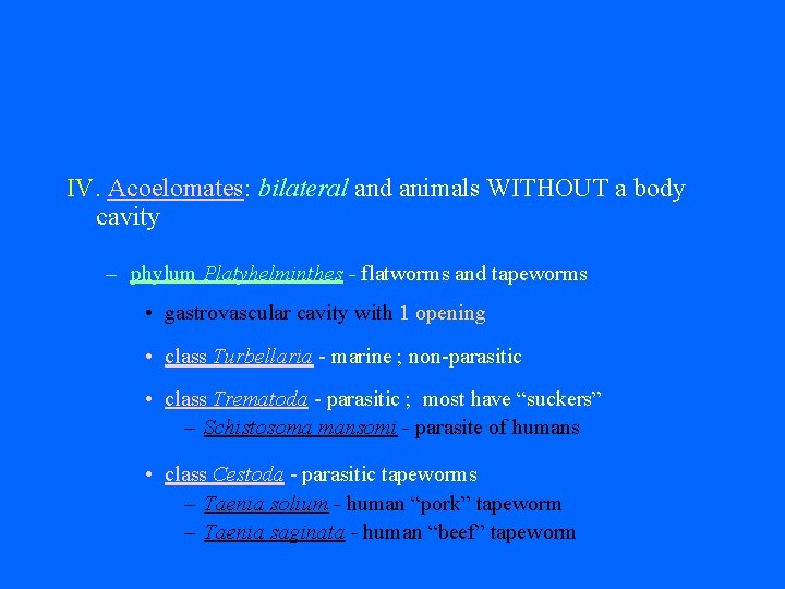 IV. Acoelomates: bilateral and animals WITHOUT a body cavity – phylum Platyhelminthes - flatworms