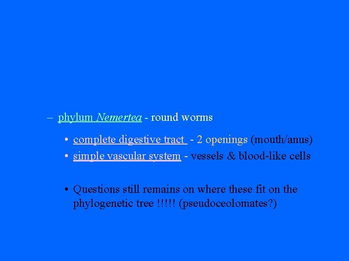 – phylum Nemertea - round worms • complete digestive tract - 2 openings (mouth/anus)