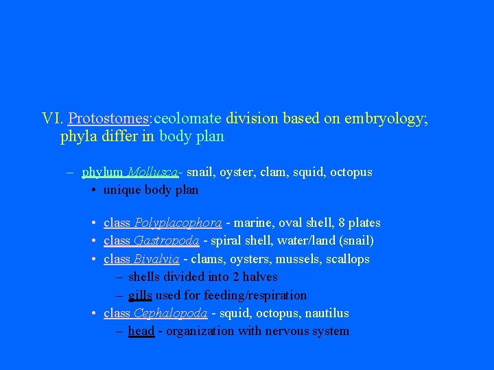 VI. Protostomes: ceolomate division based on embryology; phyla differ in body plan – phylum