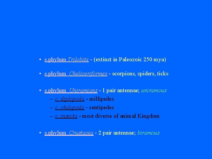  • s. phylum Trilobita - (extinct in Paleozoic 250 mya) • s. phylum