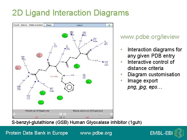 2 D Ligand Interaction Diagrams www. pdbe. org/leview • Interaction diagrams for any given