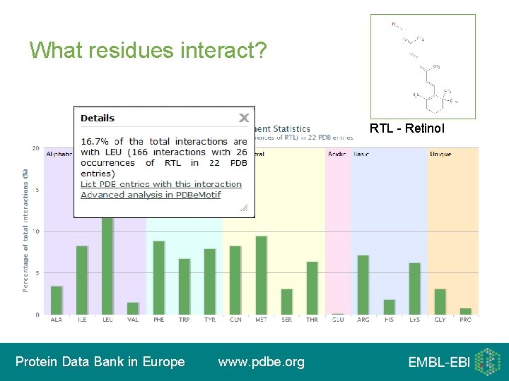 What residues interact? RTL - Retinol Protein Data Bank in Europe www. pdbe. org