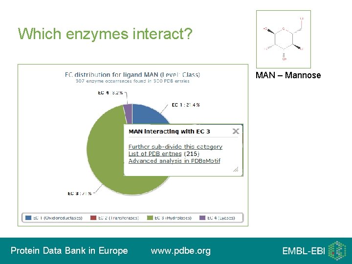 Which enzymes interact? • PDB three-letter ligand code • Ligand name Protein Data Bank