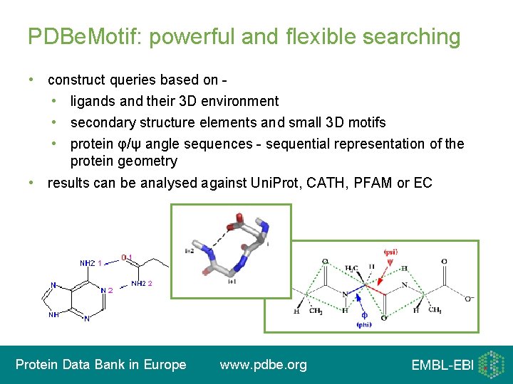 PDBe. Motif: powerful and flexible searching • construct queries based on - • ligands