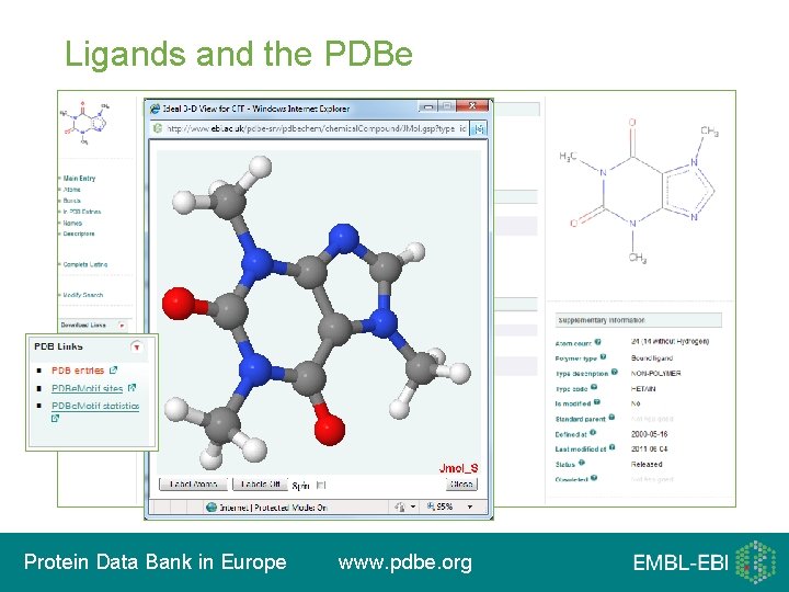 Ligands and the PDBe Protein Data Bank in Europe www. pdbe. org 