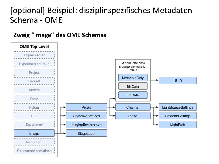 [optional] Beispiel: disziplinspezifisches Metadaten Schema - OME Zweig “Image” des OME Schemas 