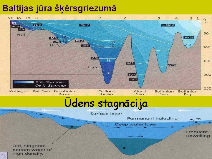 Baltijas jūra šķērsgriezumā Ūdens stagnācija 