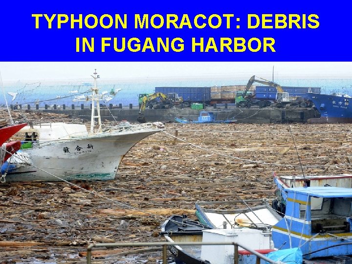 TYPHOON MORACOT: DEBRIS IN FUGANG HARBOR 