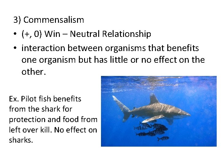3) Commensalism • (+, 0) Win – Neutral Relationship • interaction between organisms that