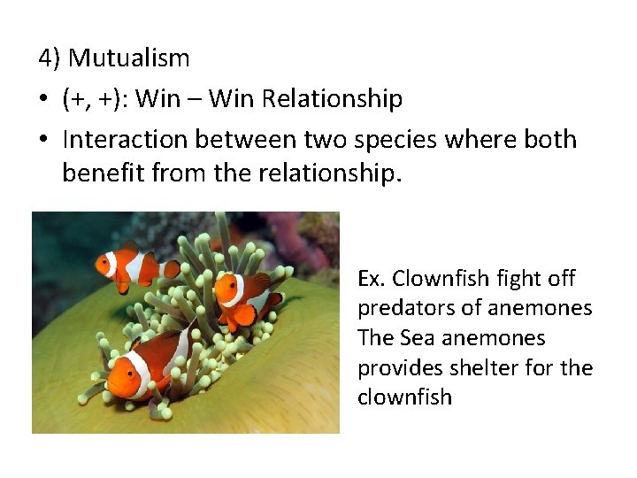 4) Mutualism • (+, +): Win – Win Relationship • Interaction between two species