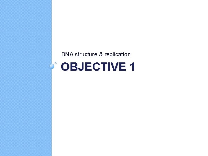 DNA structure & replication OBJECTIVE 1 