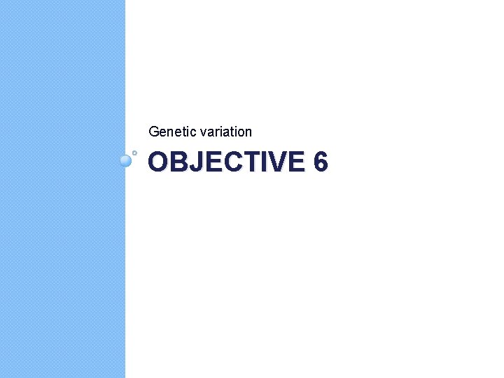Genetic variation OBJECTIVE 6 
