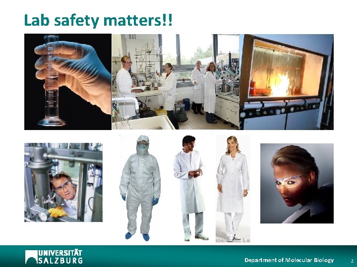 Lab safety matters!! Department of Molecular Biology 2 