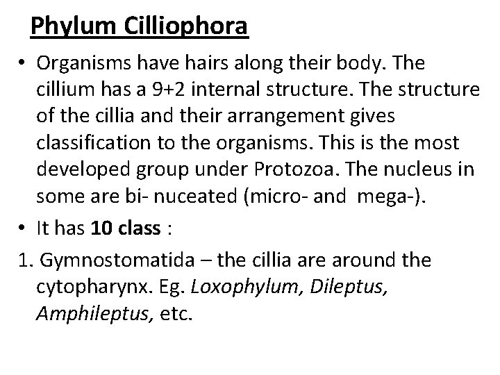 Phylum Cilliophora • Organisms have hairs along their body. The cillium has a 9+2