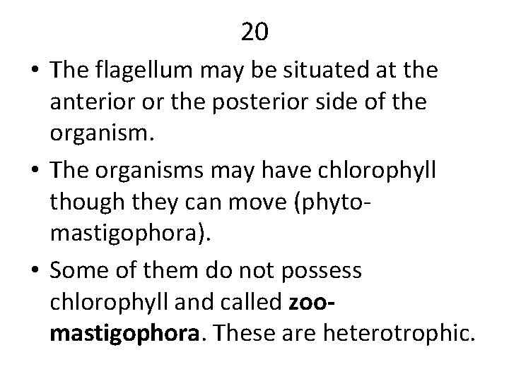 20 • The flagellum may be situated at the anterior or the posterior side