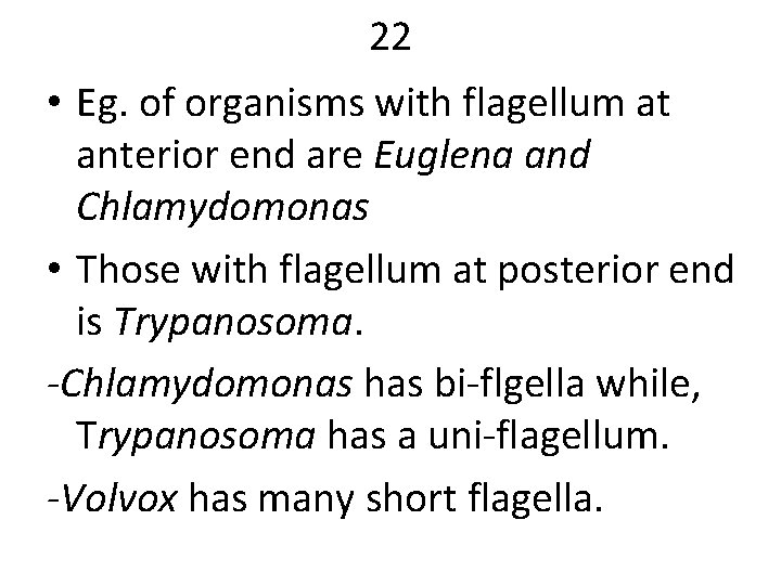 22 • Eg. of organisms with flagellum at anterior end are Euglena and Chlamydomonas