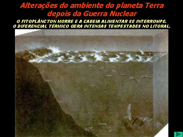 Alterações do ambiente do planeta Terra depois da Guerra Nuclear O FITOPL NCTON MORRE