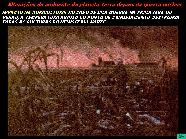 Alterações do ambiente do planeta Terra depois da guerra nuclear IMPACTO NA AGRICULTURA: NO