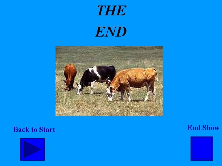 THE END Back to Start End Show 