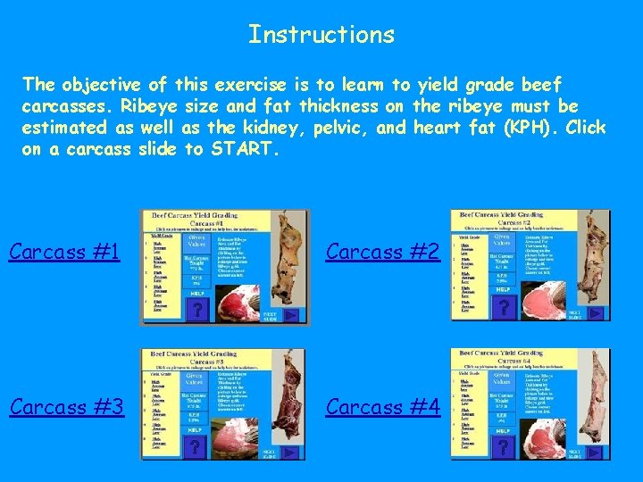 Instructions The objective of this exercise is to learn to yield grade beef carcasses.