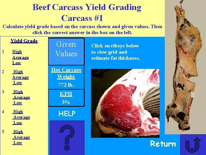 Beef Carcass Yield Grading CDE Practice Based on