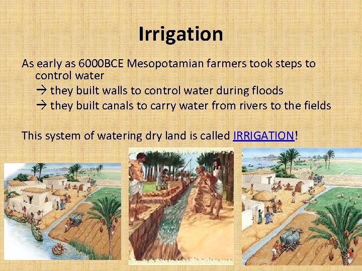 Irrigation As early as 6000 BCE Mesopotamian farmers took steps to control water they Irrigation As early as 6000 BCE Mesopotamian farmers took steps to control water they