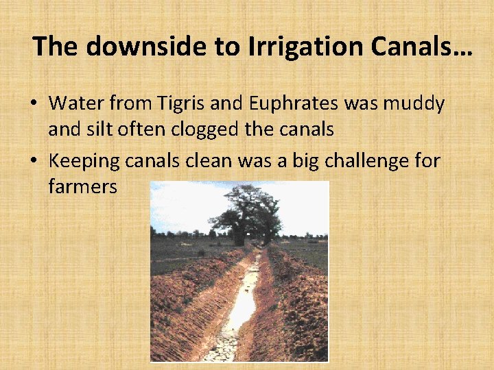 The downside to Irrigation Canals… • Water from Tigris and Euphrates was muddy and The downside to Irrigation Canals… • Water from Tigris and Euphrates was muddy and
