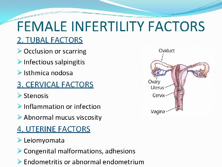 FEMALE INFERTILITY FACTORS 2. TUBAL FACTORS Ø Occlusion or scarring Ø Infectious salpingitis Ø