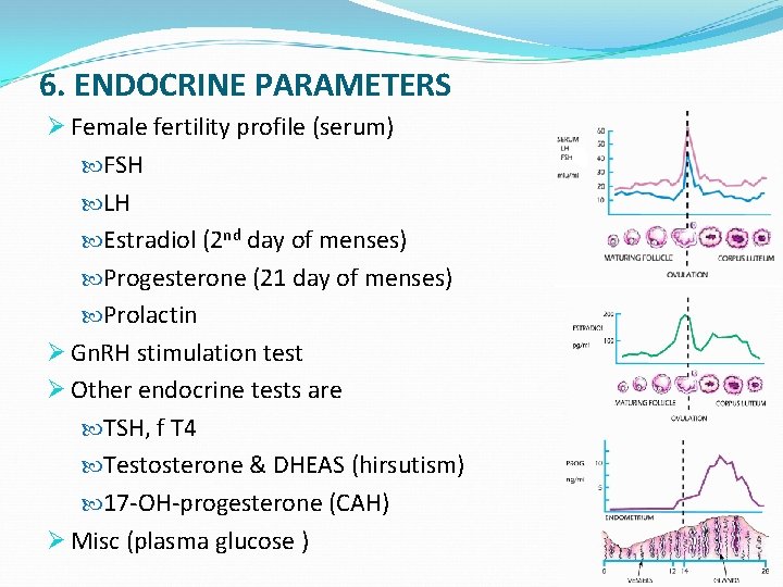 6. ENDOCRINE PARAMETERS Ø Female fertility profile (serum) FSH LH Estradiol (2 nd day