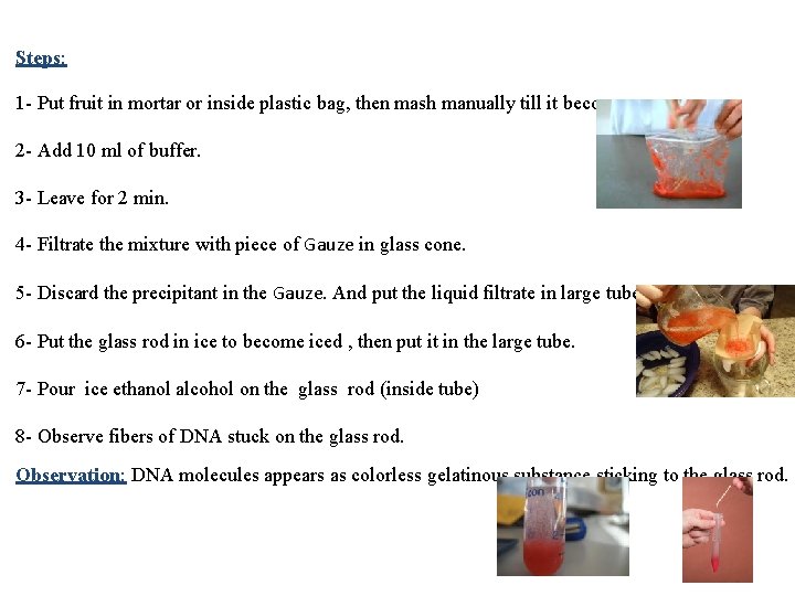 Steps: 1 - Put fruit in mortar or inside plastic bag, then mash manually