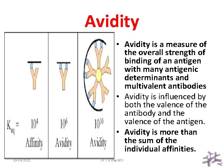 Avidity • Avidity is a measure of the overall strength of binding of an