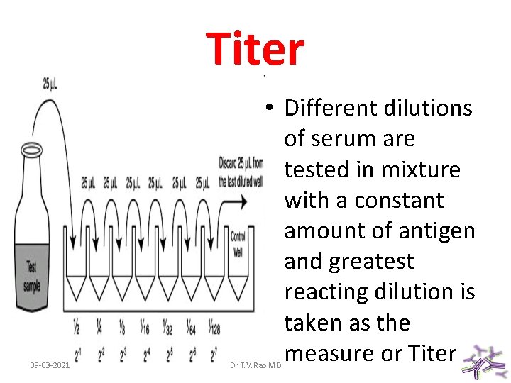 Titer 09 -03 -2021 • Different dilutions of serum are tested in mixture with