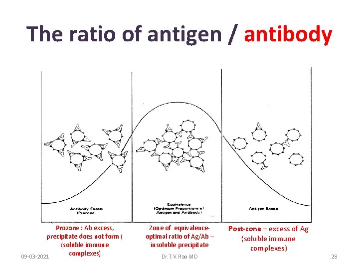 The ratio of antigen / antibody Prozone : Ab excess, precipitate does not form