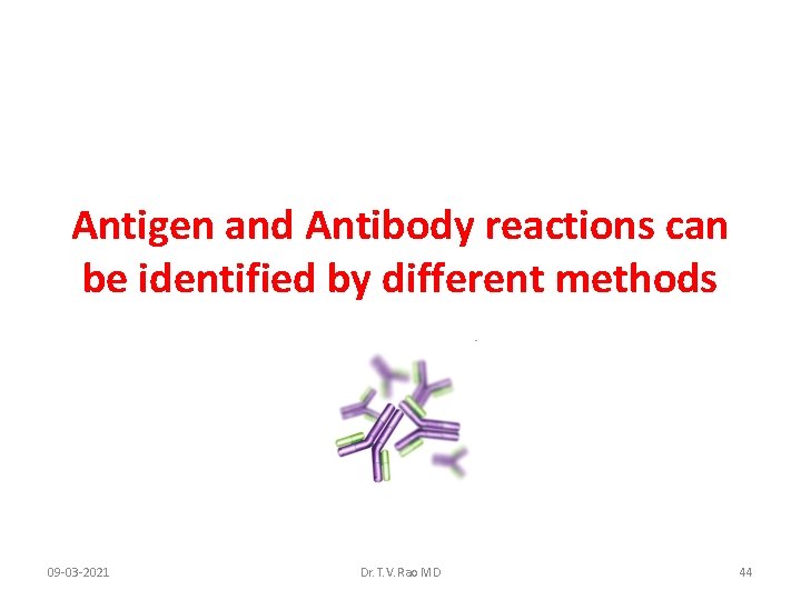 Antigen and Antibody reactions can be identified by different methods 09 -03 -2021 Dr.