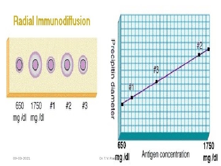 09 -03 -2021 Dr. T. V. Rao MD 47 