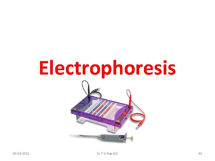 Electrophoresis 09 -03 -2021 Dr. T. V. Rao MD 48 