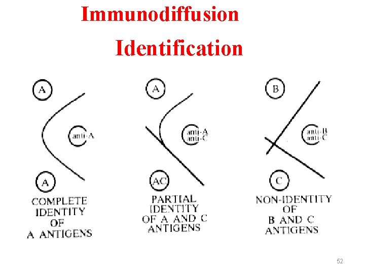 Double Immunodiffusion Identification 52 