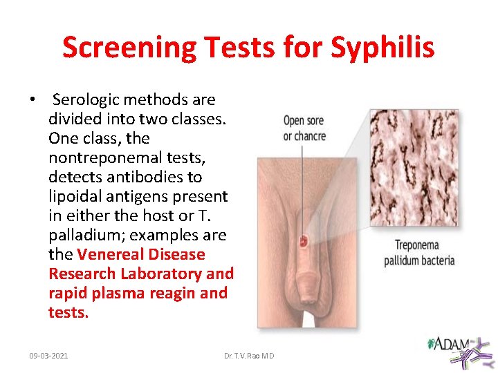 Screening Tests for Syphilis • Serologic methods are divided into two classes. One class,