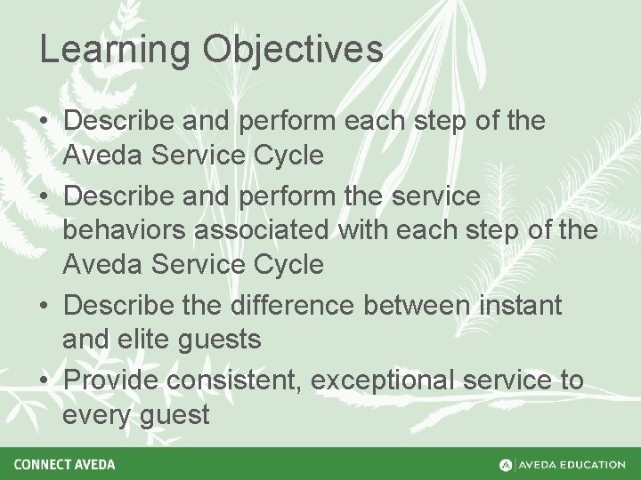 Learning Objectives • Describe and perform each step of the Aveda Service Cycle •