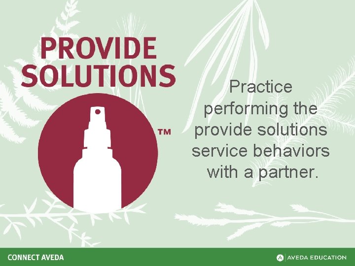 Practice performing the provide solutions service behaviors with a partner. 