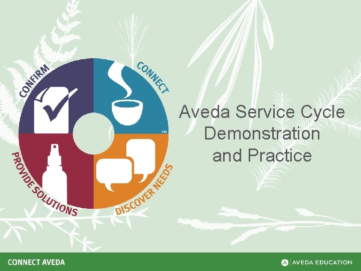 Aveda Service Cycle Demonstration and Practice 
