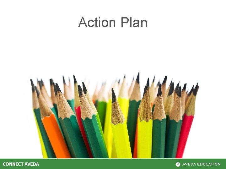 Action Plan 