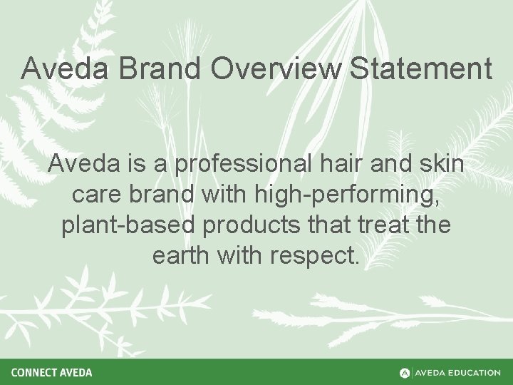 Aveda Brand Overview Statement Aveda is a professional hair and skin care brand with