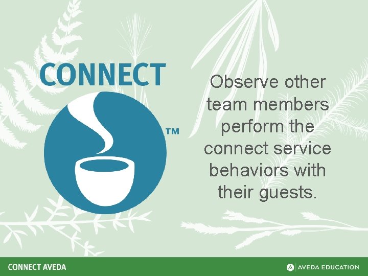 Observe other team members perform the connect service behaviors with their guests. 