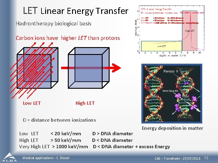 LET Linear Energy Transfer Hadrontherapy biological basis Carbon ions have higher LET than protons