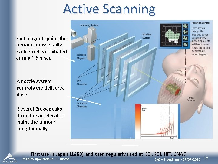 Active Scanning Fast magnets paint the tumour transversally Each voxel is irradiated during ~